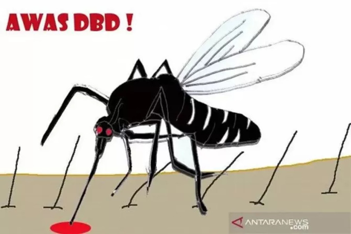 Nyamuk Aedes aegypti