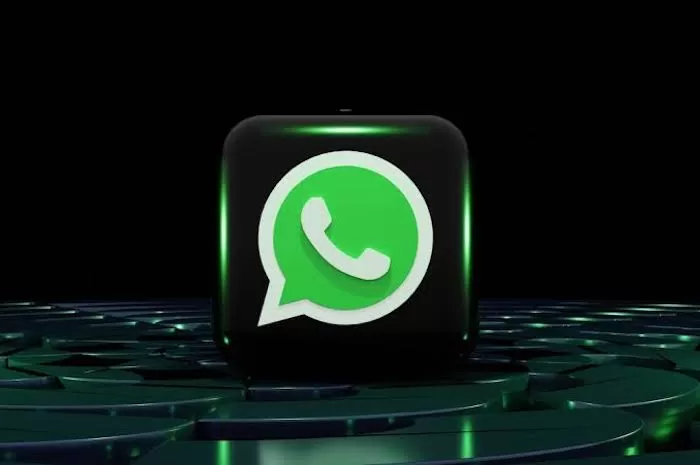 Ilustrasi: WhatsApp (WeLiveSecurity)