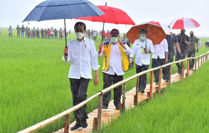 ILUSTRASI. Presiden Jokowi, Selasa (23/2/2021) meninjau lokasi food estate yang terletak di Bukit Ngora Lenang, Lai Patedang, Desa Makata Keri, Kec Katiku Tana, Kab Sumba Tengah Prov NTT.