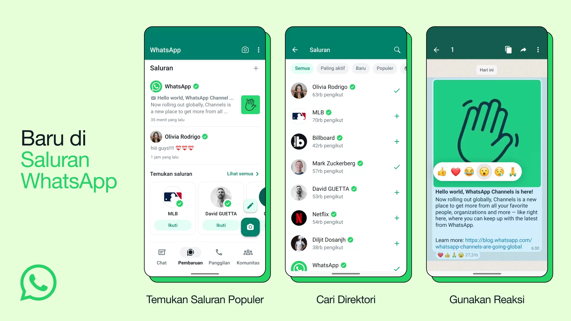 Fitur Saluran WhatsApp resmi tersedia untuk pengguna. (Istimewa).