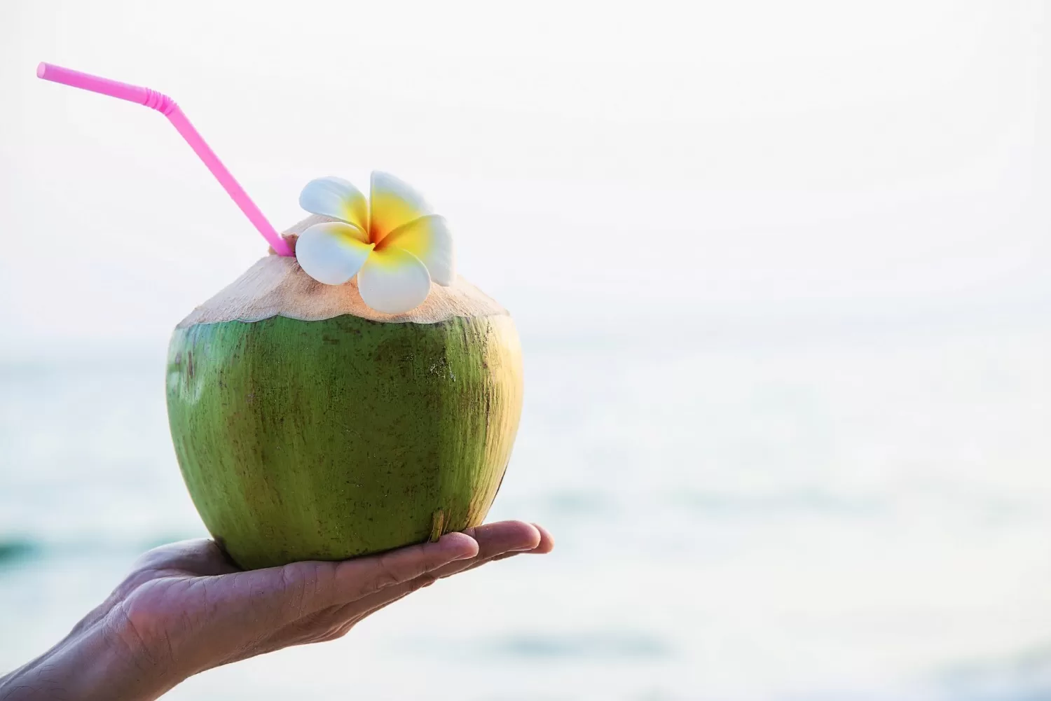 ilustrasi minum air kelapa. Sumber foto: Freepik