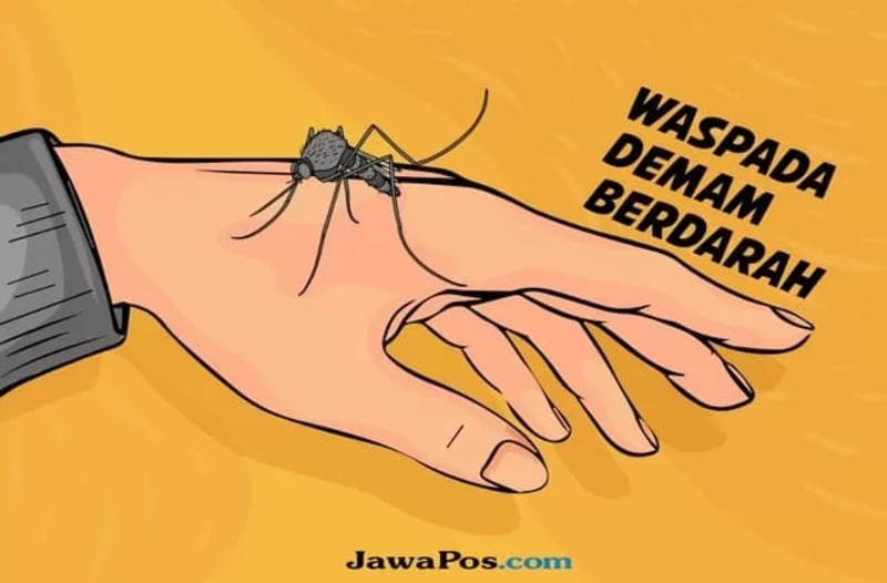 Ilustrasi DBD. Dok. JawaPos