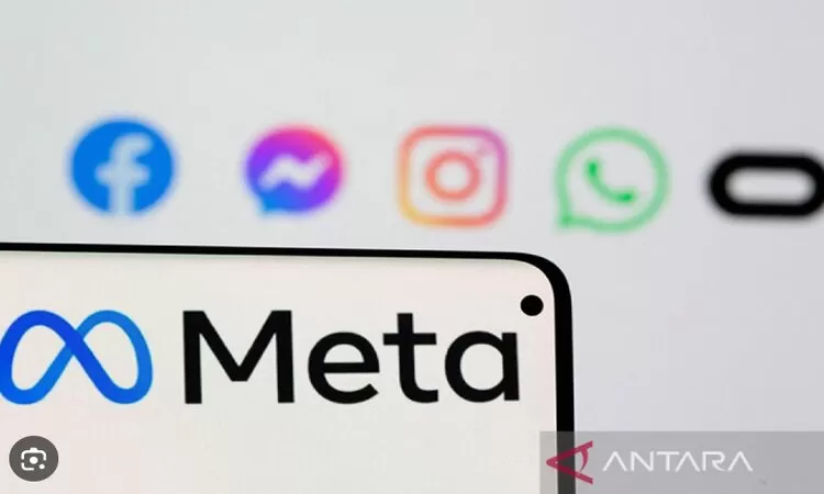 Facebook dan instagram down meta jelaskan alasannya. (Antara)