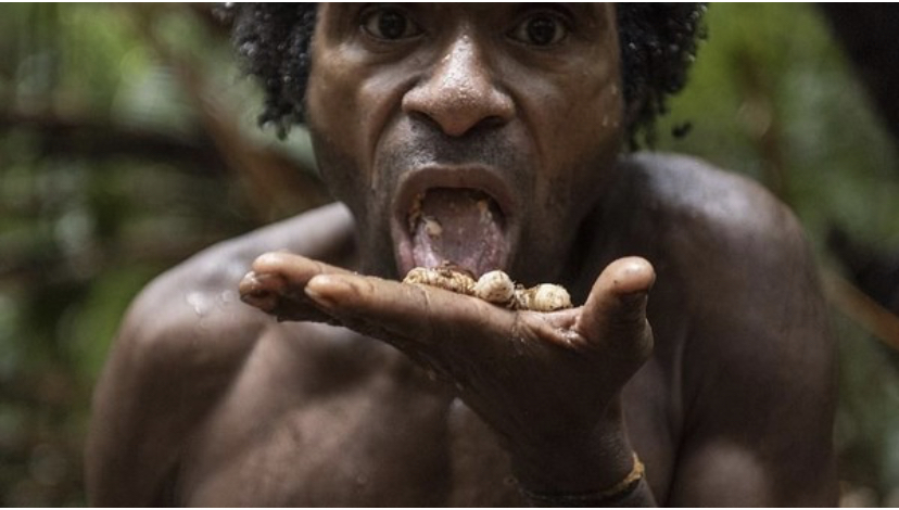 Suku Korowai