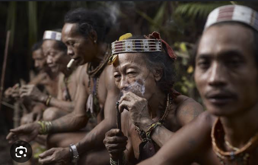 Suku dayak