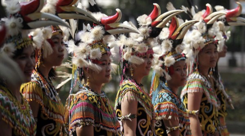 Suku kalimantan