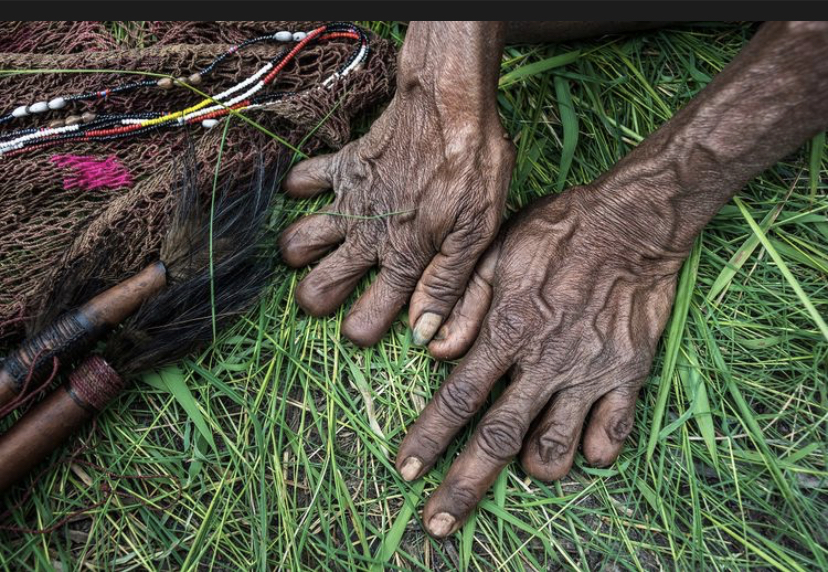 Tradisi Niki Paleg Suku Dani di Papua DOK. Shutterstock/chris piason(Shutterstock/chris piason)