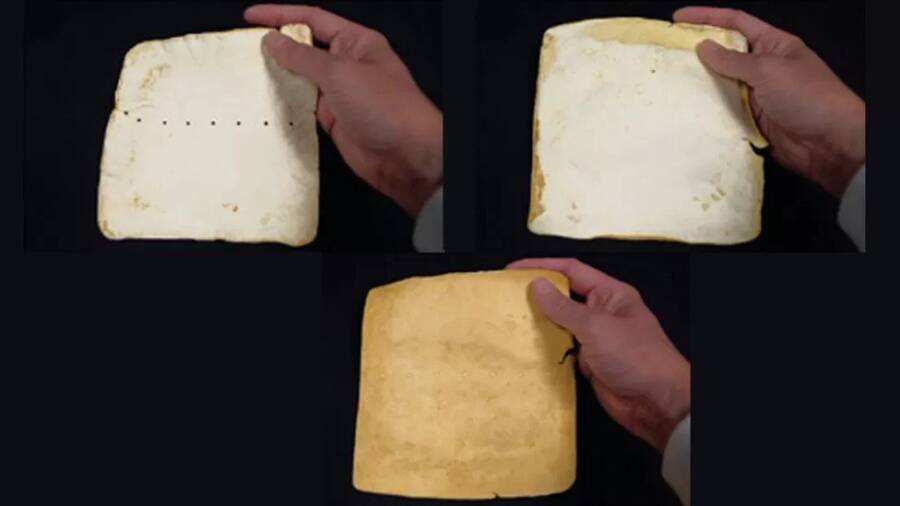 bahan yang terbuat dari miselium jamur memiliki sifat regeneratif.