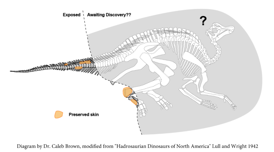 Dinosaurus