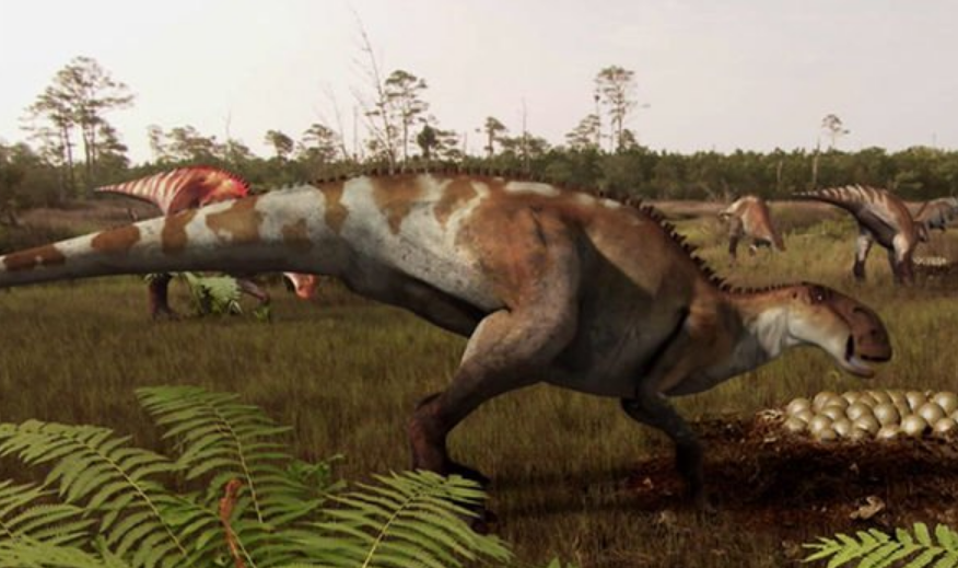 Brachylophosaurus.