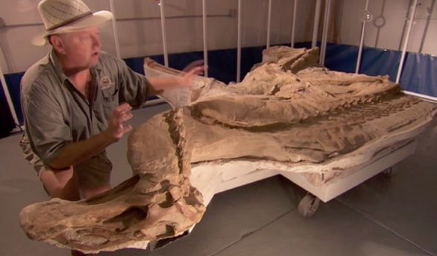 Brachylophosaurus yang hidup 77 juta tahun yang lalu.