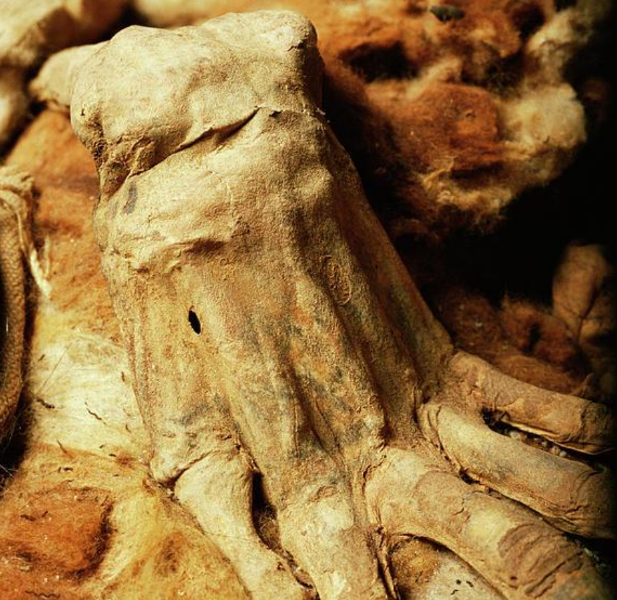 Mumi Inca.