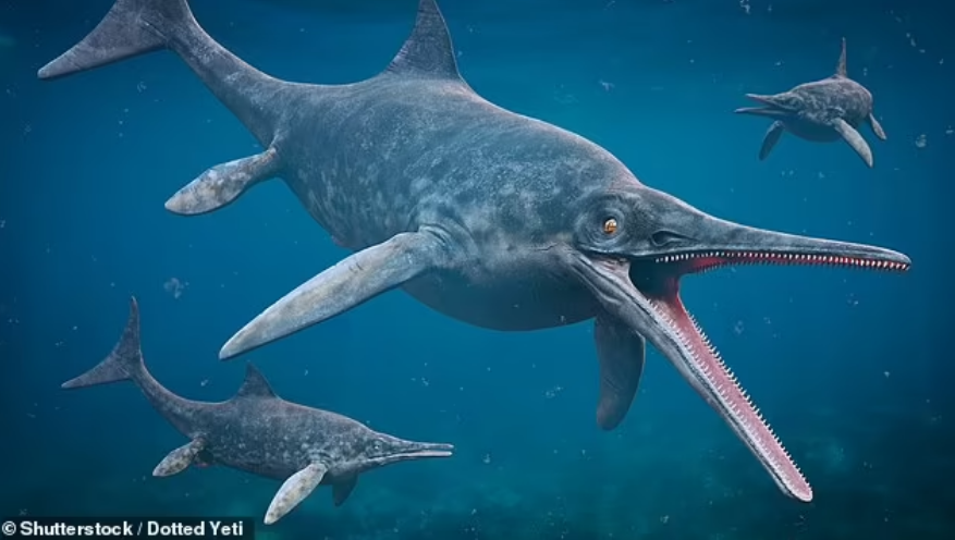 Ichthyosaurus yang merupakan spesies reptil laut.