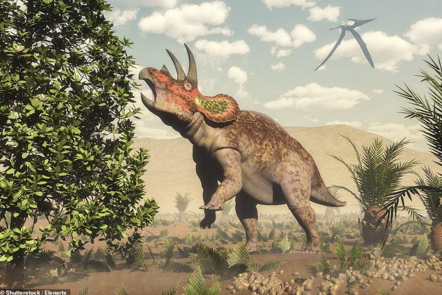Ilustrasi Triceratops