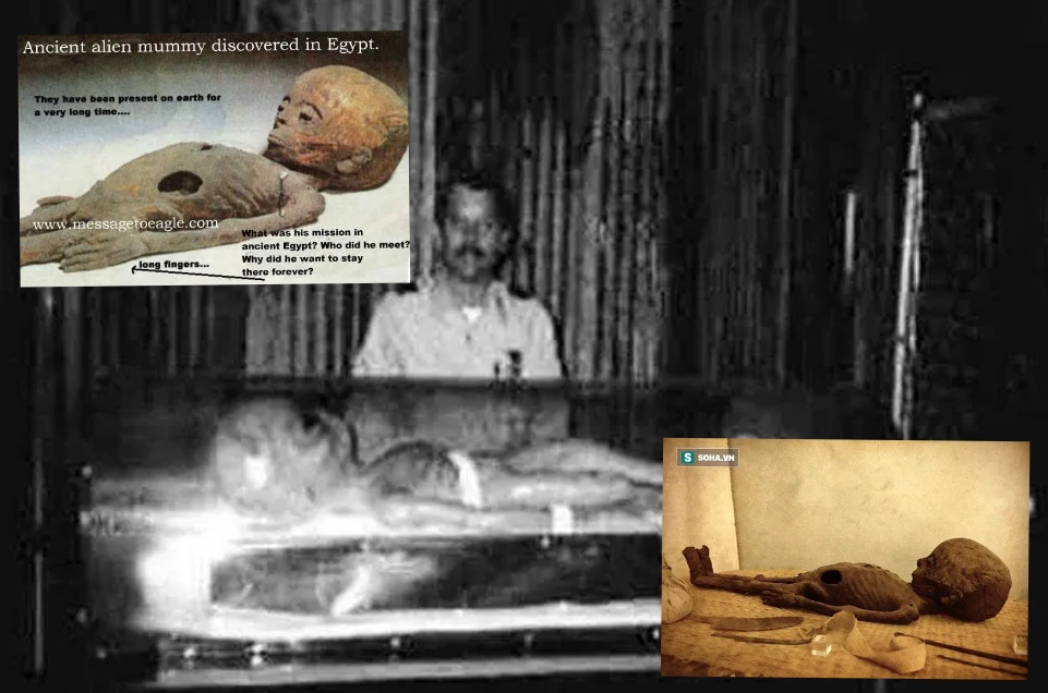 Mumi Alien