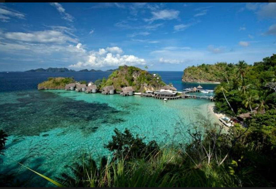 Ilustrasi rumah adat papua dan keunikannya, sumber foto: Jeffry Surianto by pexels.com