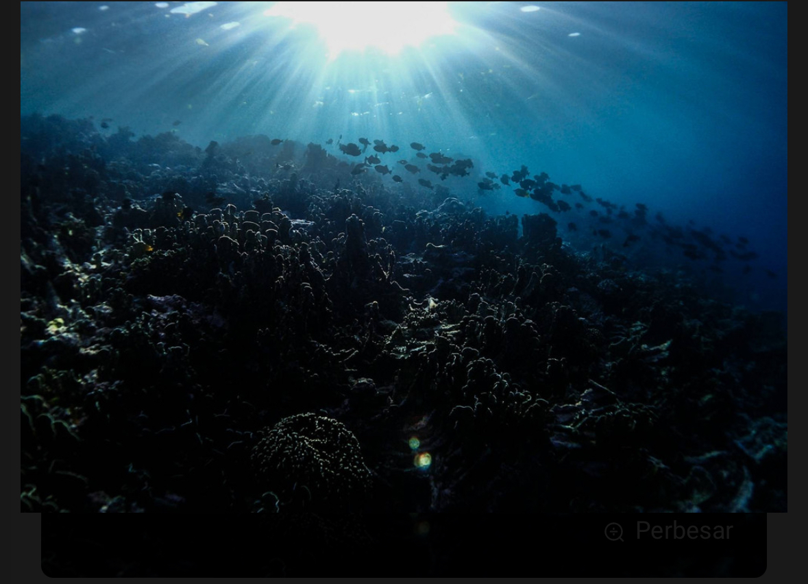 Ilustrasi Sejarah Suku Bajo di Wakatobi. Sumber: Unsplash.com/Benjamin L. Jones