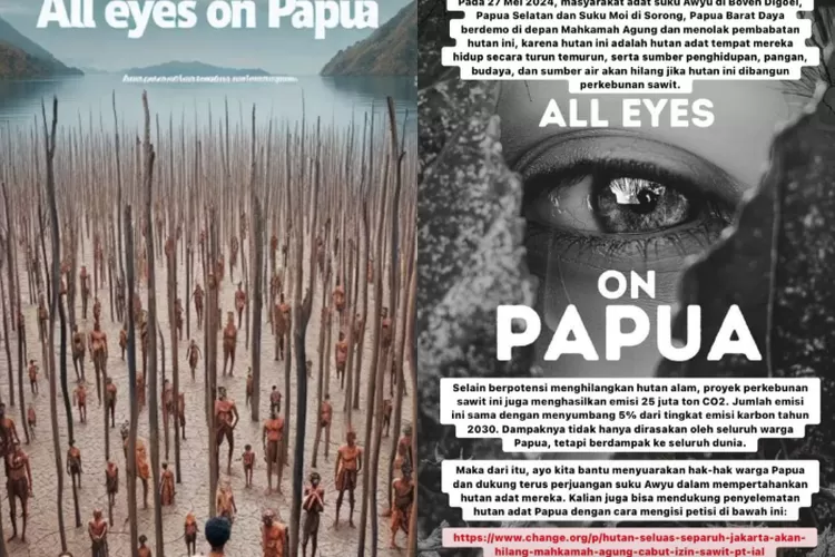 all eyes on papua