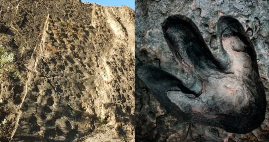 Banyak jejak kaki dinosaurus yang ditemukan di