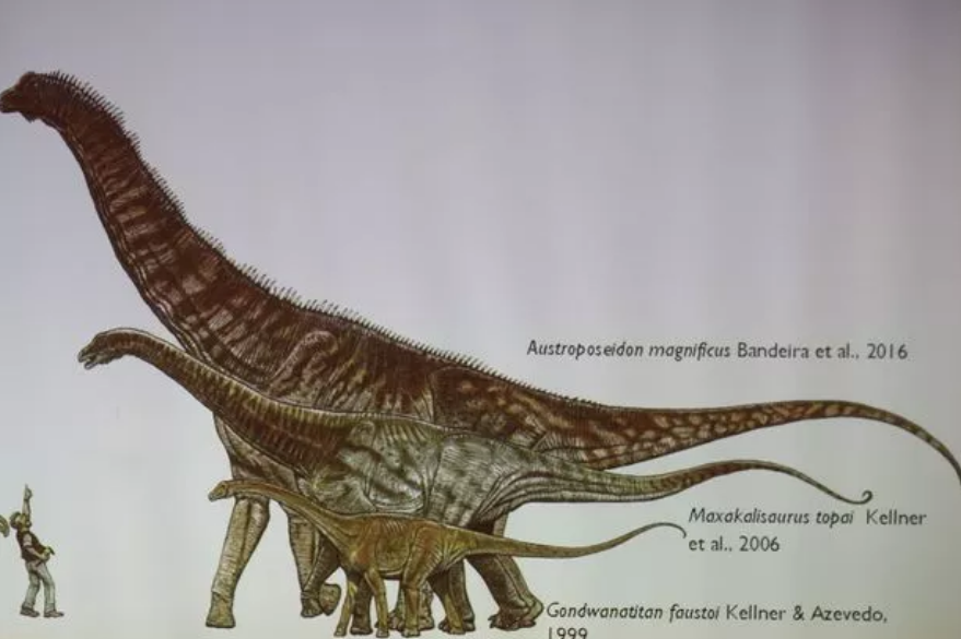Ilustrasi dinosaurus terbesar.