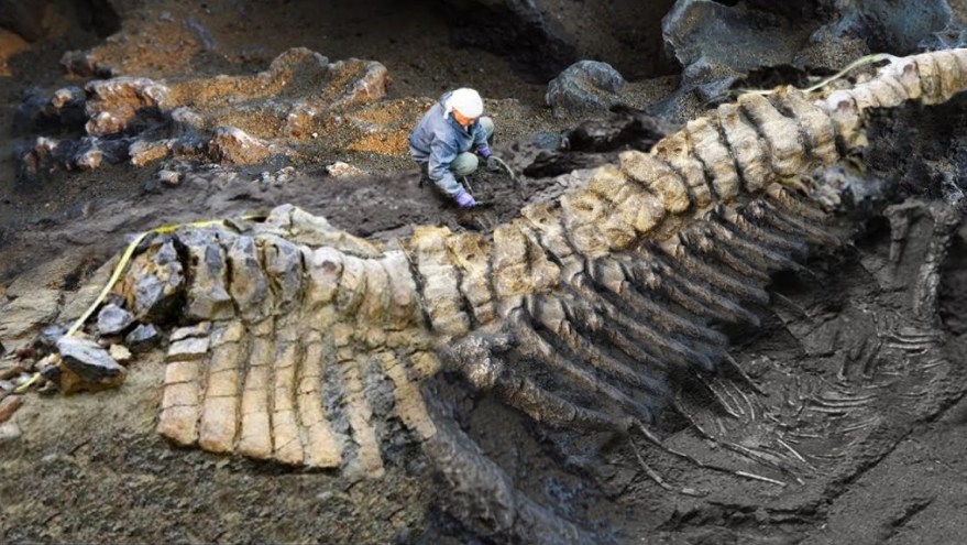 Cryodrakon boreas, spesies baru pterosaurus.