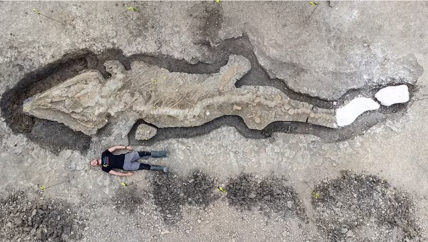 Penemuan fosil naga laut Ichthyosaurus raksasa.
