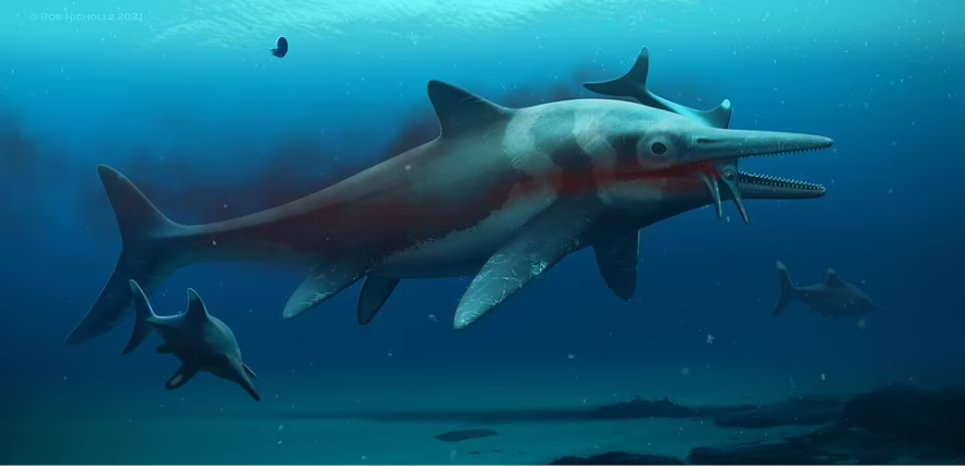 Ilustrasi Ichthyosaur.