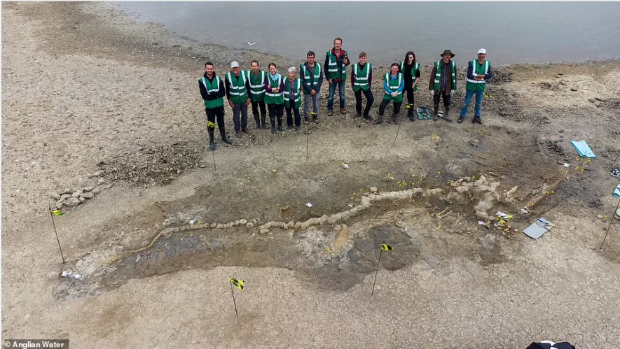 Penemuan fosil naga laut Ichthyosaurus raksasa.