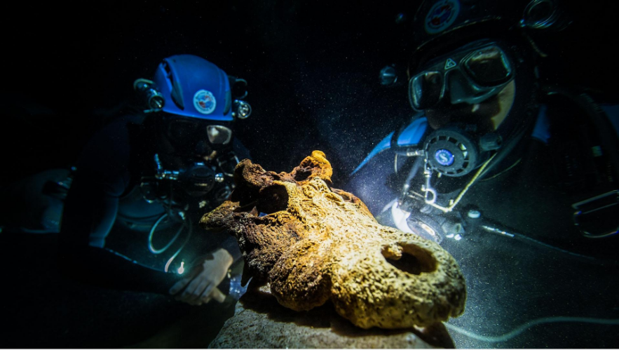 Fosil makhluk purba di gua bawah laut madagaskar.