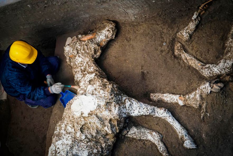 Fosil Kuda 2.000 tahun di Pompeii.