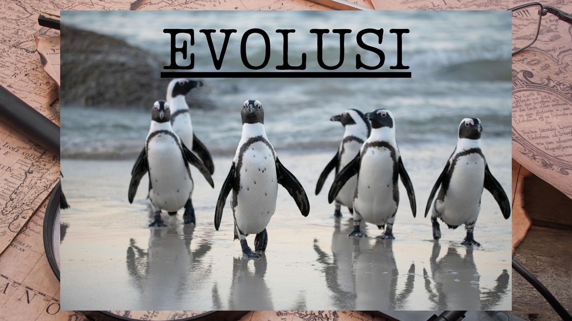 Ilustrasi Pinguin (pexels.com)