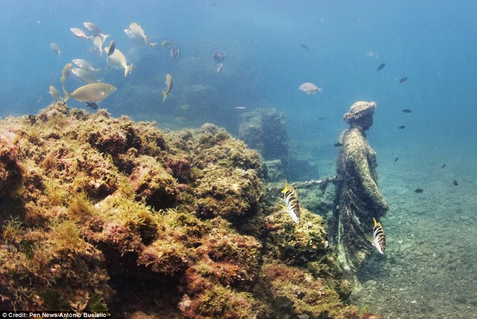 Foto Ilustrasi (Radar Papua/https://animalfor.com)