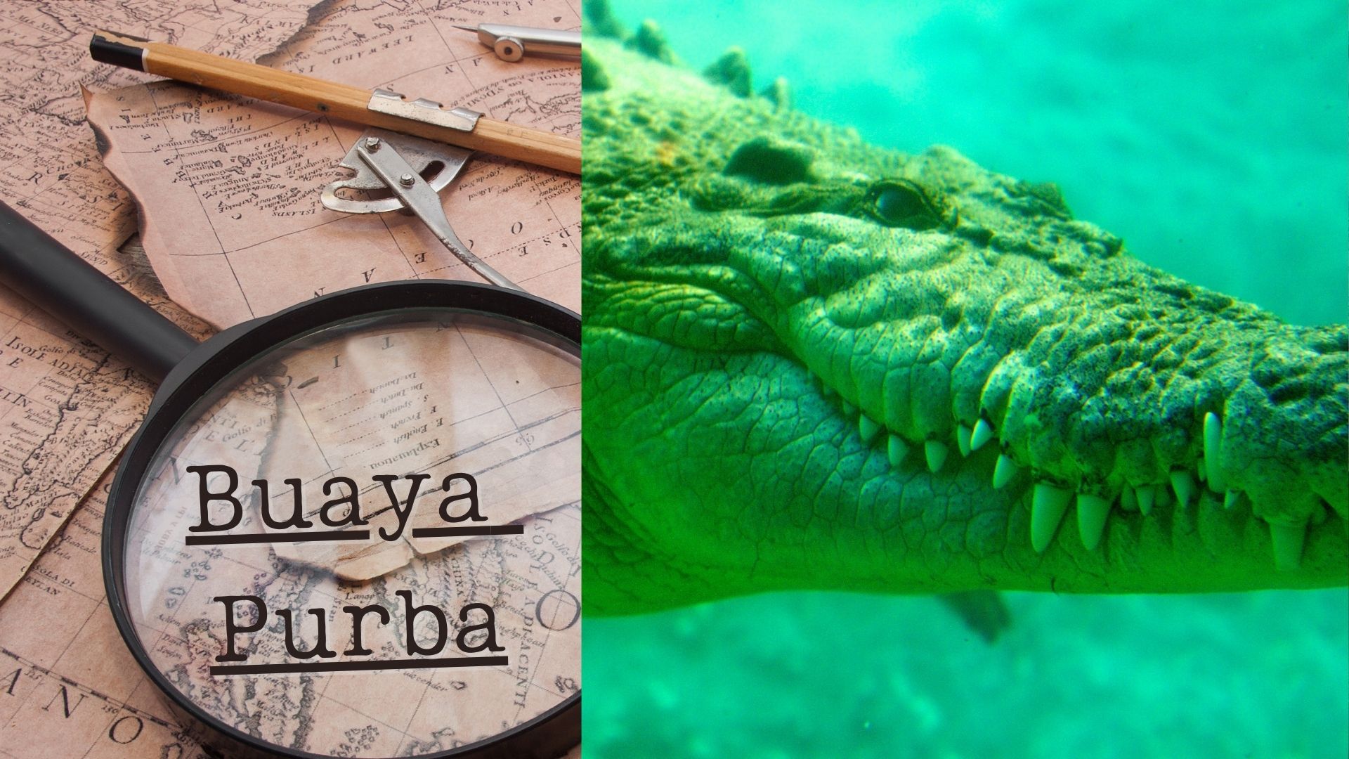 Ilustrasi Buaya Purba (canva.com)