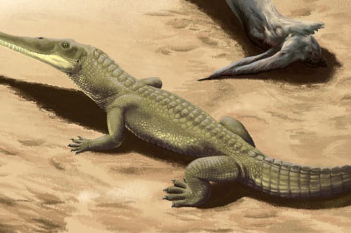 Foto ilutrasi species mirip buaya (National Geograpic Indonesia)
