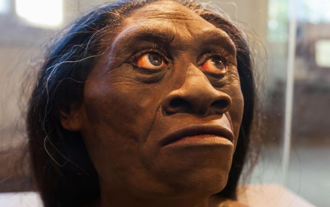 Homo floresiensis, manusia purba yang hidup di Flores, Indonesia, sekitar 18.000 hingga 30.000 tahun silam.