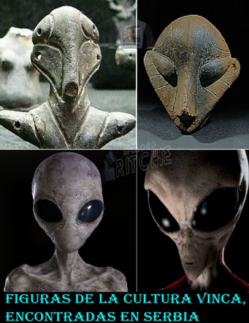 Foto Alien (animalfor.com)