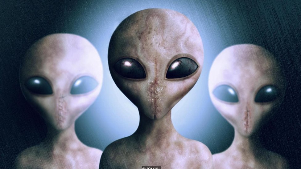 Foto Alien (animalfor.com)
