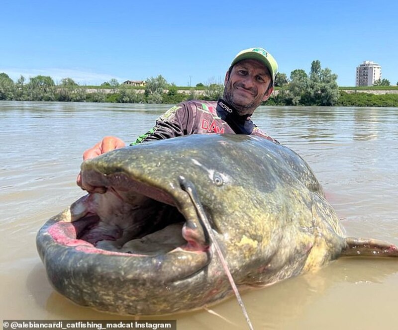 Foto pemancing Italia dan ikan Lele Raksasa (animalfor.com)