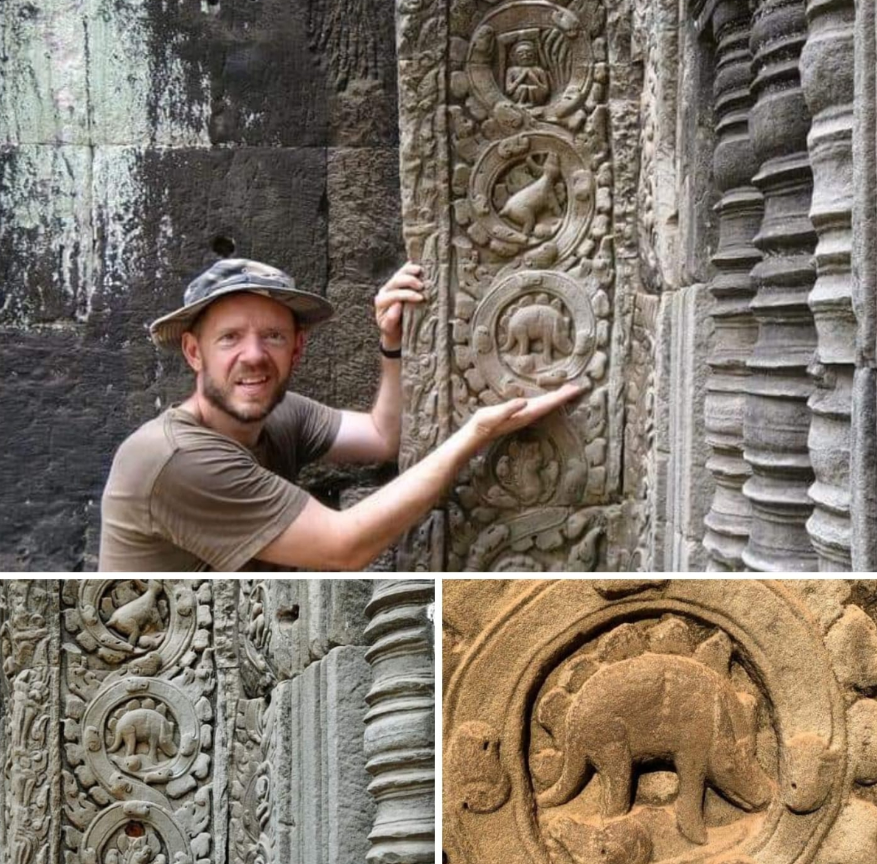 Ukiran Dinosaurus Stegosaurus di Kuil Kuno Ta Prohm.