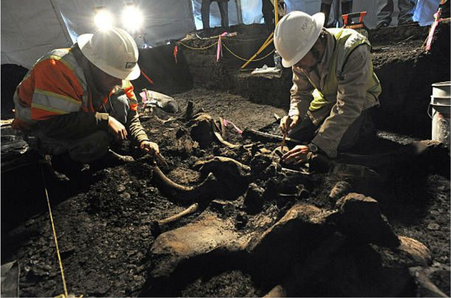 Penemuan Skelet Mammoth Terbesar di Dunia.