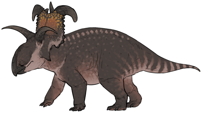 Lokiceratops rangiformis
