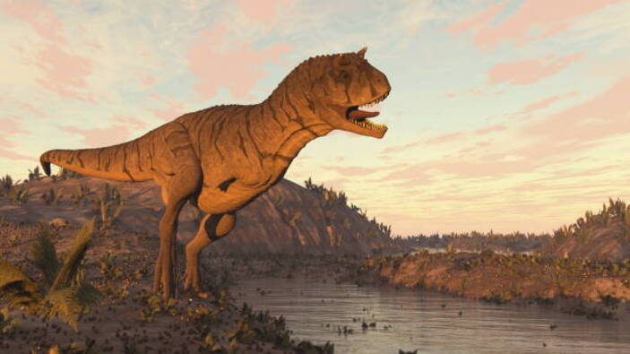 Carnotaurus dinosaur
