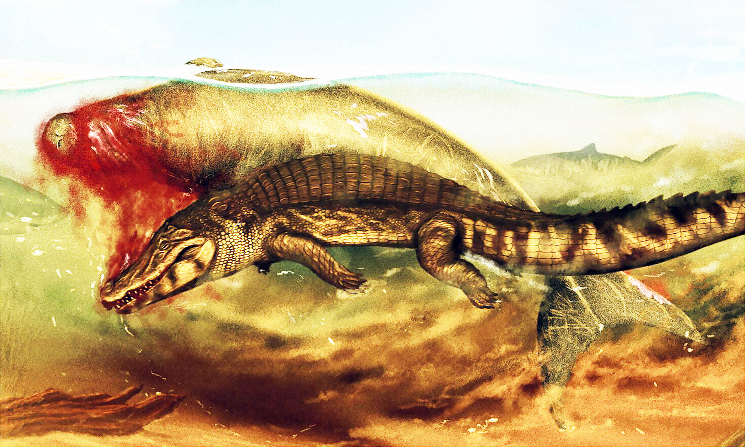 Ilustrasi sapi laut diserang buaya.
