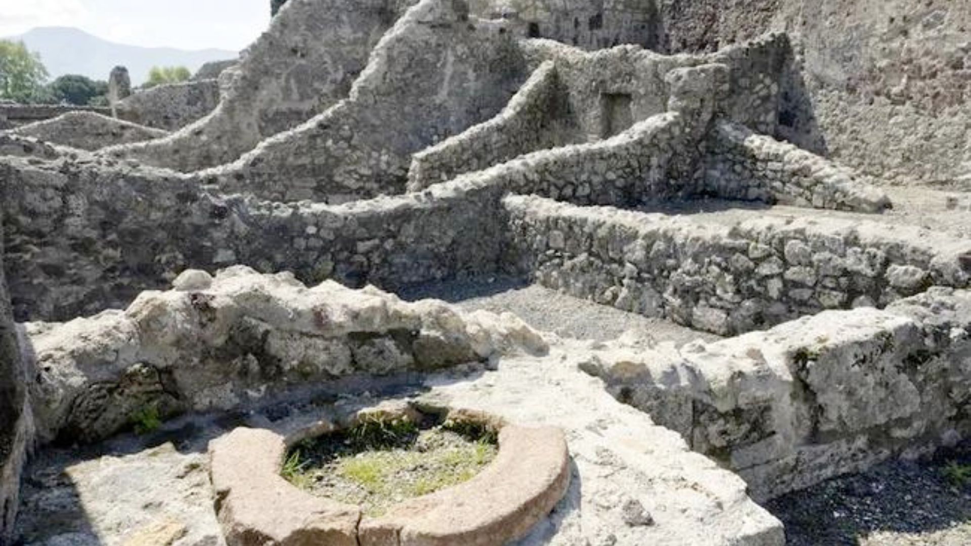 Tembok yang penuh graffiti di Pompeii ( credit: perspectivestock / Shutterstock.com/livescience.com)
