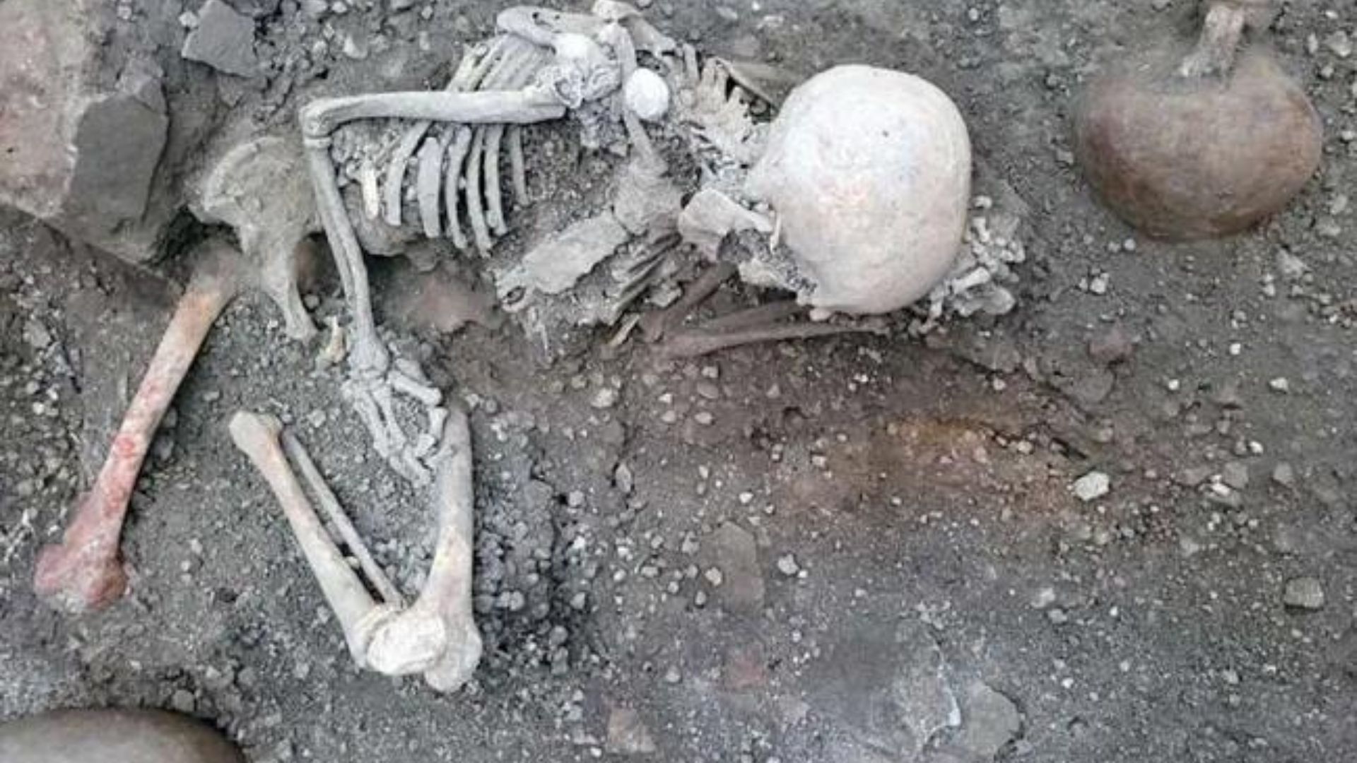 Kerangka tersebut merupakan sisa-sisa dua orang pria yang berusia setidaknya 55 tahun dan tewas akibat gempa bumi. (credit: Pompeii Archaeological Park)