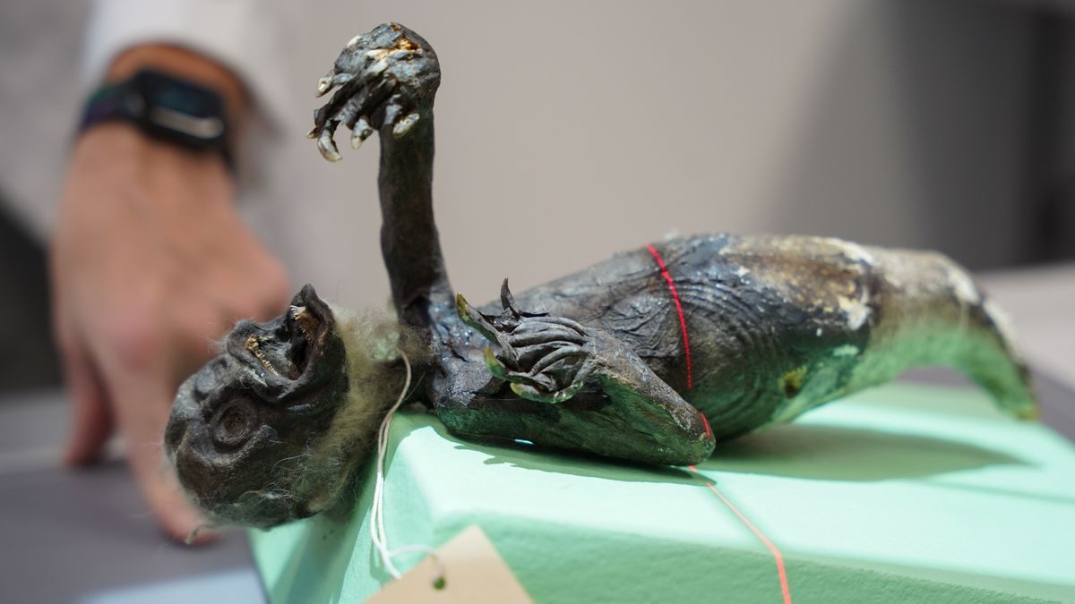 Mumi Putri duyung (credit: Fiji Mermaid Project/Joseph Cress)