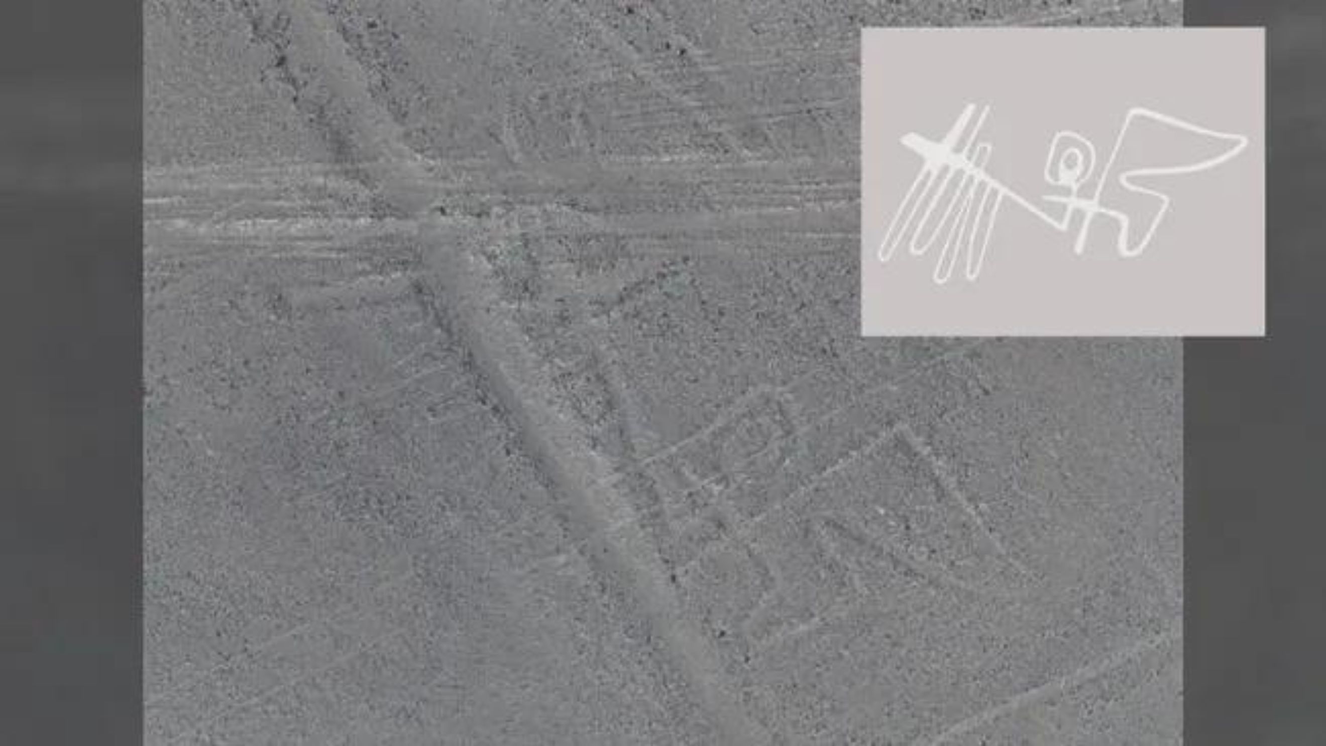Para ilmuwan di Universitas Yamagata telah mencari geoglif, seperti burung ini, pada foto udara beresolusi tinggi di Nazca selama hampir 20 tahun (The Yamagata University Institute of Nasca)