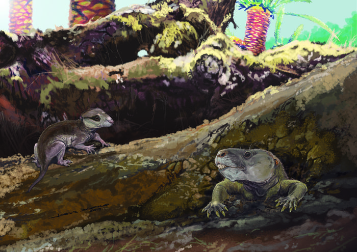 Riograndia and Brasilodon