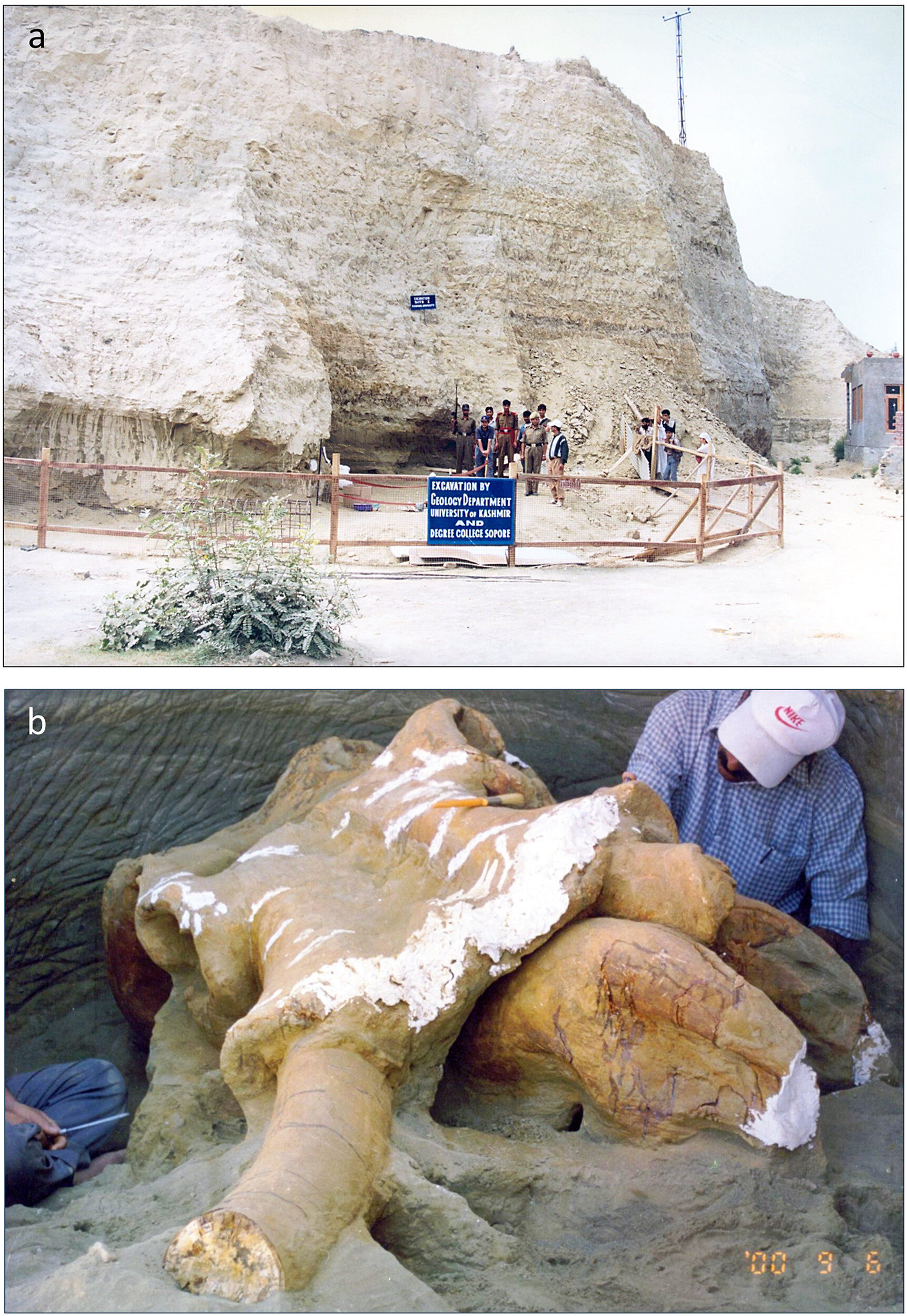A. Situs gajah Pampore. B. Tengkorak gajah sedang digali.