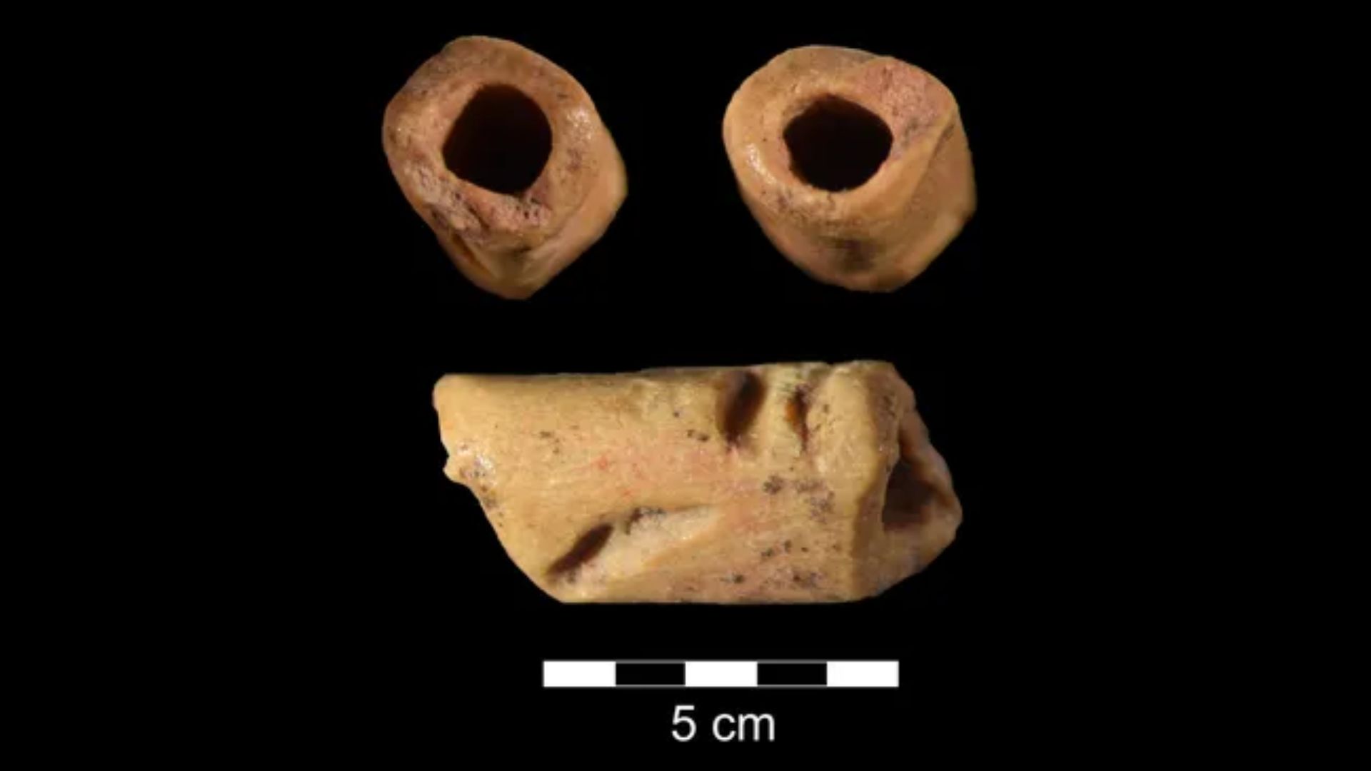 Pemandangan berbeda dari manik-manik berbentuk tabung berusia 12.940 tahun yang ditemukan di situs Clovis di Wyoming